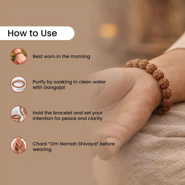 5 Mukhi Rudraksha Bracelet (Adjustable)
