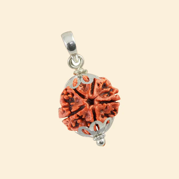 5 Mukhi Rudraksha (Nepali) - Medium
