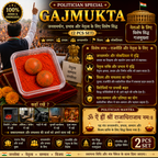 Trader / Share Market Special Gajmukta (2 PCS)