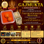 Businessmen Special Siddh Gajmukta (2 PCS) | Business Growth, Profit & Prosperity Collection