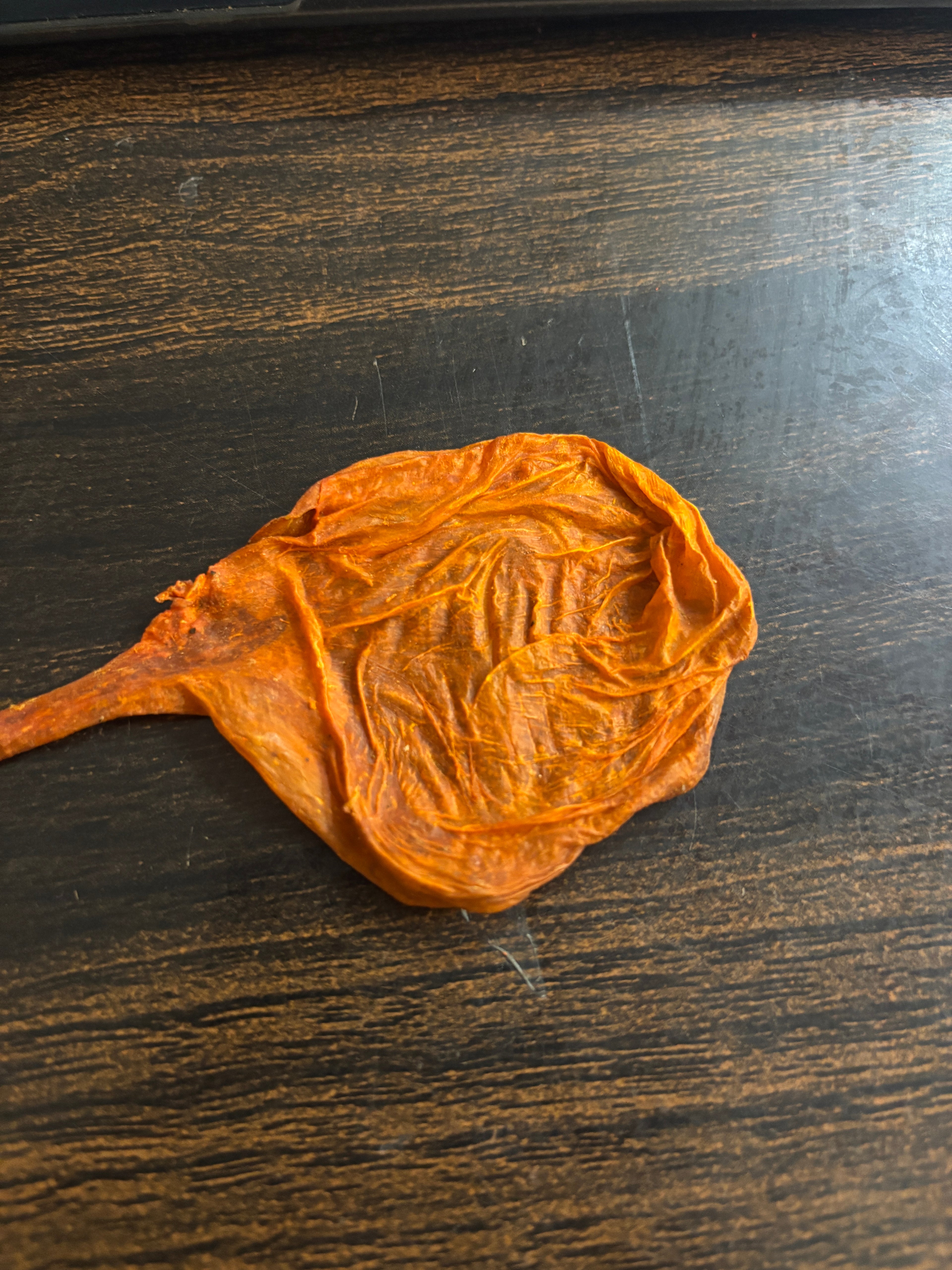 Siddh Billi Ki Jer – Rare Spiritual Ritual Item