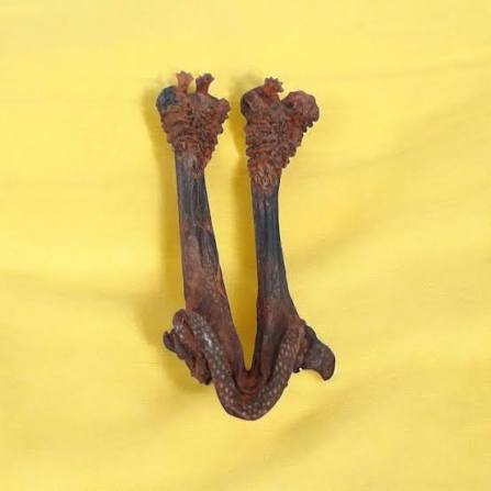 Original Hatha Jodi – Premium Spiritual Collectible